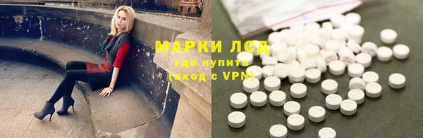 эйфоретик Бородино