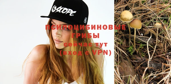 гидропоника Бугульма