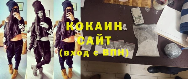 эйфоретик Бородино